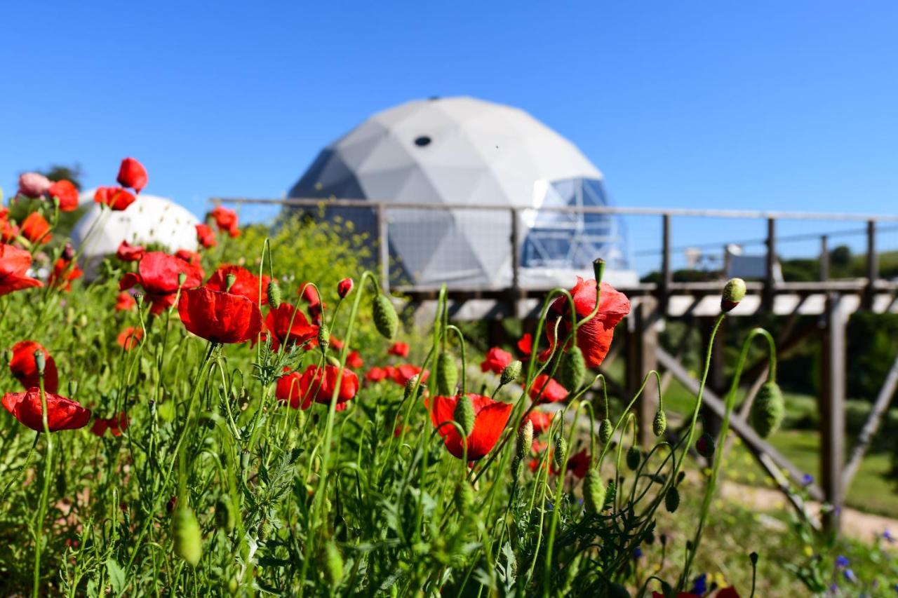 Reserva Alecrim Ecosuite & Glamping Santiago do Cacém Kültér fotó